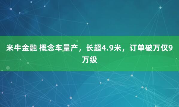 米牛金融 概念车量产，长超4.9米，订单破万仅9万级
