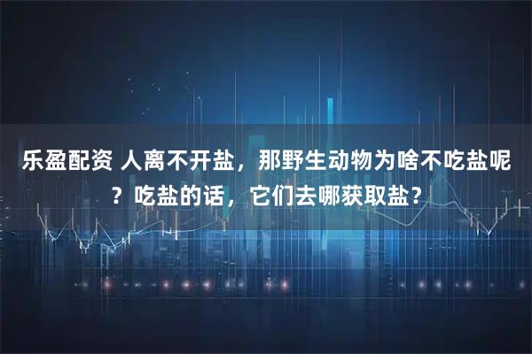 乐盈配资 人离不开盐，那野生动物为啥不吃盐呢？吃盐的话，它们去哪获取盐？