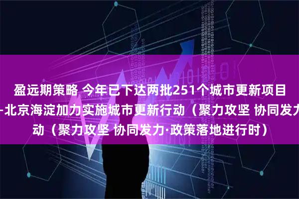 盈远期策略 今年已下达两批251个城市更新项目 总投资超千亿元——北京海淀加力实施城市更新行动（聚力攻坚 协同发力·政策落地进行时）