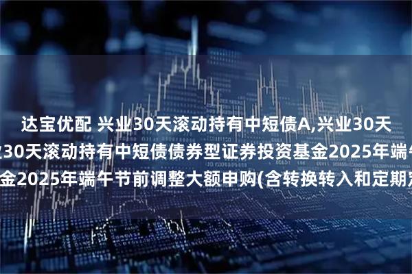 达宝优配 兴业30天滚动持有中短债A,兴业30天滚动持有中短债C: 兴业30天滚动持有中短债债券型证券投资基金2025年端午节前调整大额申购(含转换转入和定期定额投资)公告
