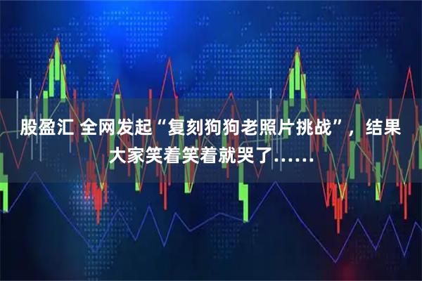 股盈汇 全网发起“复刻狗狗老照片挑战”，结果大家笑着笑着就哭了……