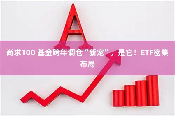 尚求100 基金跨年调仓“新宠”,是它!ETF密集布局