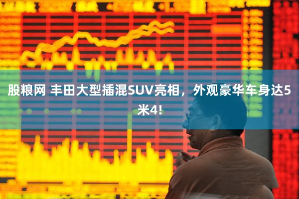 股粮网 丰田大型插混SUV亮相，外观豪华车身达5米4!