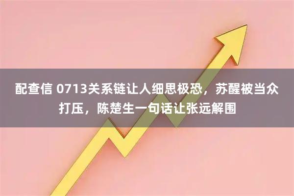 配查信 0713关系链让人细思极恐，苏醒被当众打压，陈楚生一句话让张远解围