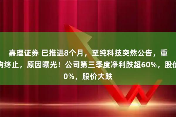 嘉理证券 已推进8个月，至纯科技突然公告，重磅收购终止，原因曝光！公司第三季度净利跌超60%，股价大跌